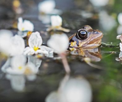 pascal-van-de-vendel-PS3nNer00c-unsplash