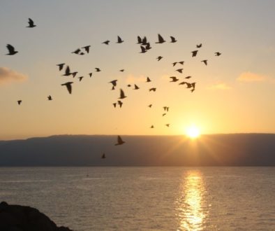 galilee-751635_1280