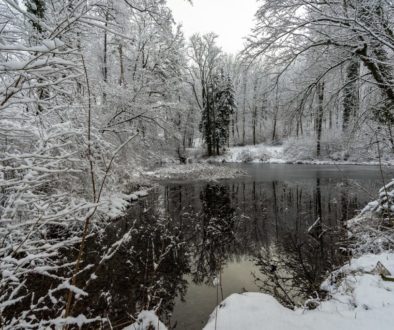 winter-4668201_1280